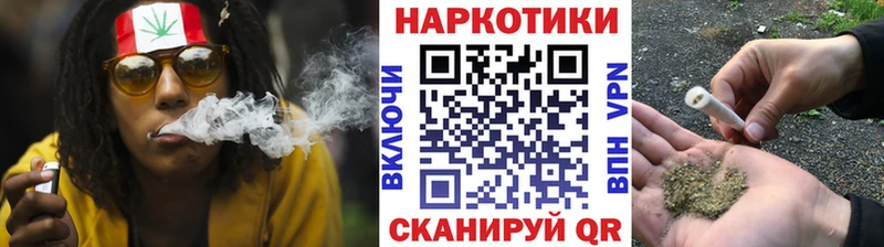 Где купить Гаджиево Кокаин Alpha-PVP Канабис