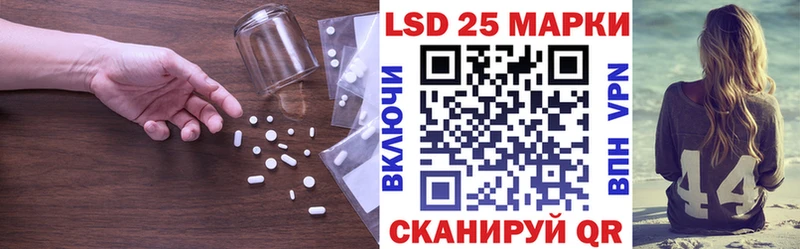 как найти наркотики  Гаджиево  блэк спрут зеркало  Лсд 25 экстази ecstasy 